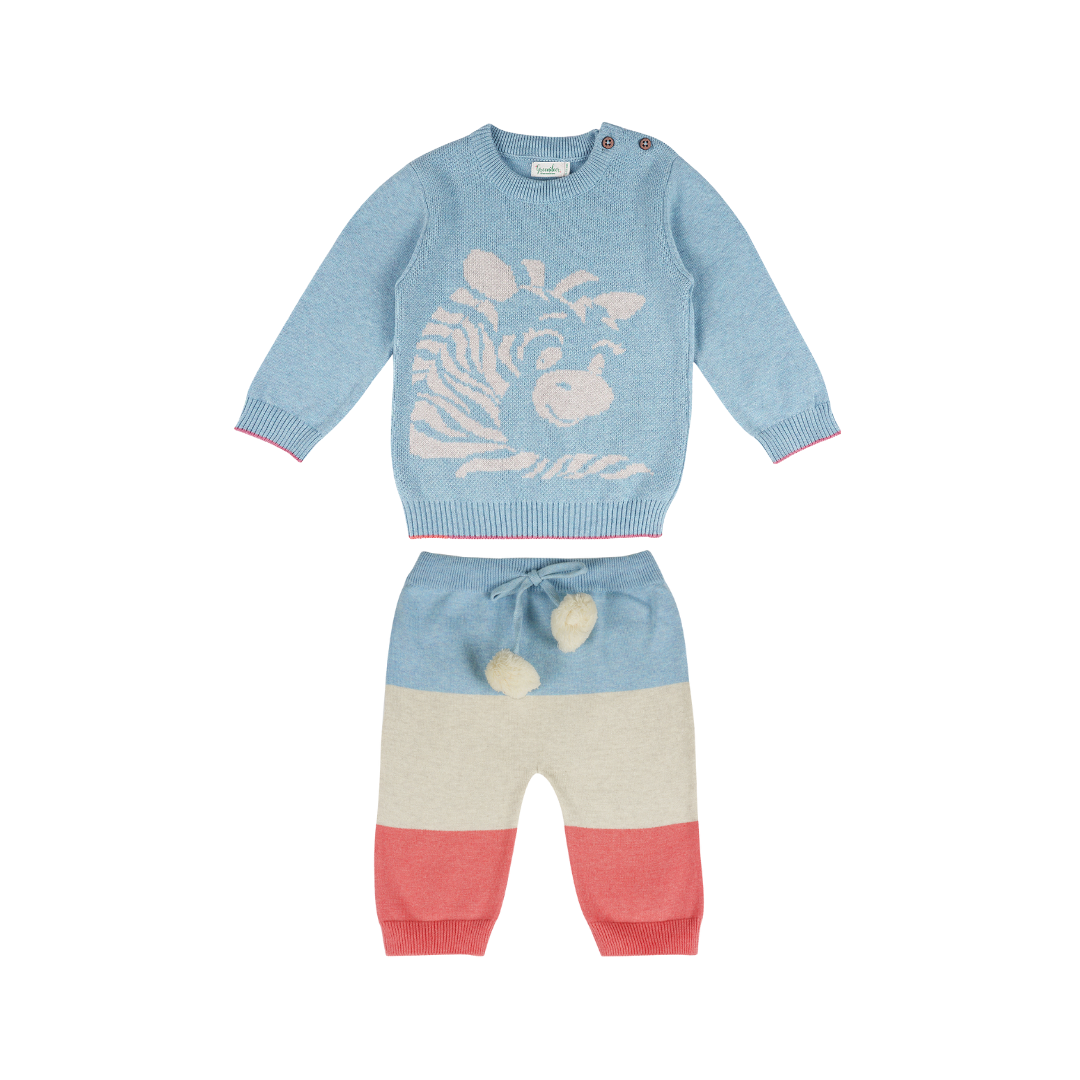 Greendeer Fullsleeves Playful Zebra Sweater Set- Baby Blue