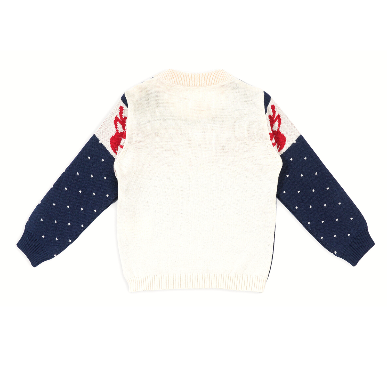 Navy Soulful Reindeer Jacquard Sweater Set